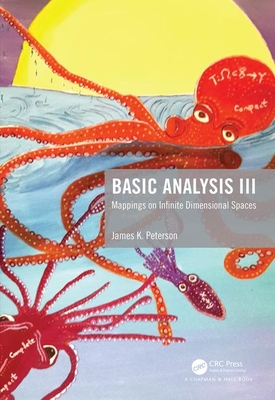 Basic Analysis III: Mappings on Infinite Dimensional Spaces - Peterson, James K.