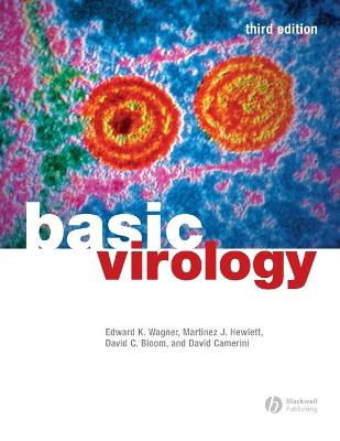 Basic Virology - Wagner, Edward K, and Hewlett, Martinez J, and Bloom, David C