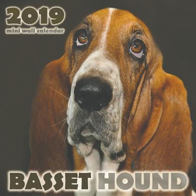 Basset Hound 2019 Mini Wall Calendar - Over the Wall Dogs