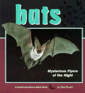 Bats: Mysterious Flyers of the Night