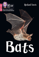Bats: Phase 2 Set 5
