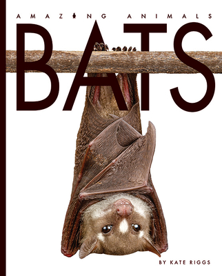 Bats - Bodden, Valerie