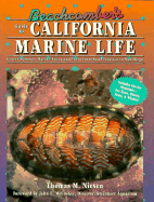 Beachcomber's Guide to California Marine Life