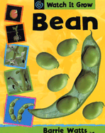 Bean