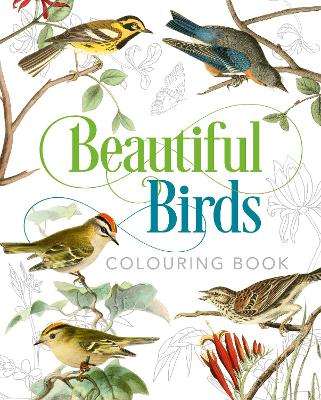 Beautiful Birds Colouring Book - Gray, Peter