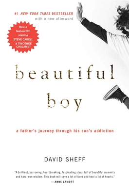 Beautiful Boy: A Father's Journey Through His Son's Addiction - Sheff, David