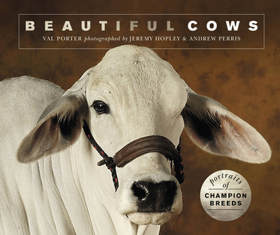 Beautiful Cows: Portraits of Champion Breeds - Porter, Valerie