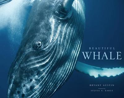 Beautiful Whale - Austin, Bryant, and Earle, Sylvia (Introduction by)