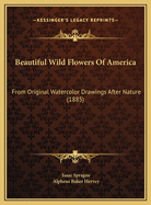 Beautiful Wild Flowers Of America: From Original Watercolor Drawings After Nature (1885)