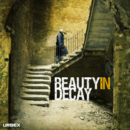 Beauty in Decay: The Art of Urban Exploration