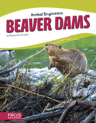 Beaver Dams - Furstinger, Nancy