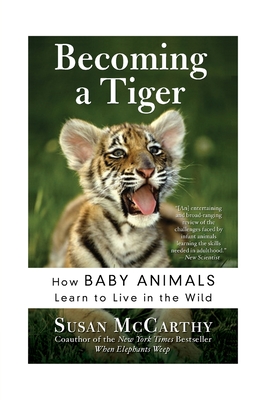 Becoming a Tiger: How Baby Animals Learn to Live in the Wild - McCarthy, Susan