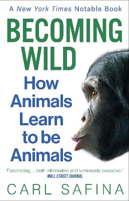 Becoming Wild: How Animals Learn to be Animals - Safina, Carl