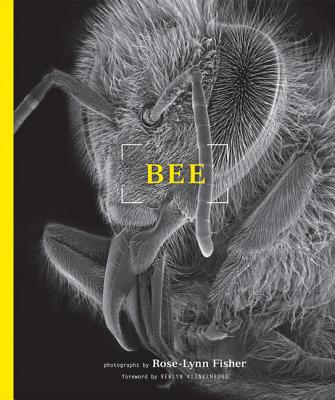 Bee - Fisher, Rose-Lynn, and Klinkenborg, Verlyn, PH.D. (Foreword by)