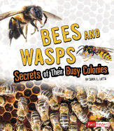 Bees and Wasps: Secrets of Their Busy Colonies: Secrets of Their Busy Colonies