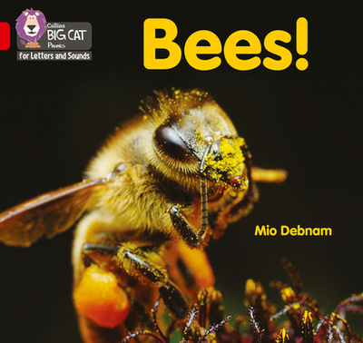 Bees!: Band 02b/Red B - Debnam, Mio, and Collins Big Cat (Prepared for publication by)
