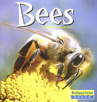 Bees - Prischmann, Deirdre A