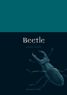 Beetle - Dodd, Adam