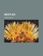 Beetles