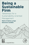 Being a Sustainable Firm: Takeaways for a Sustainability-Oriented Management