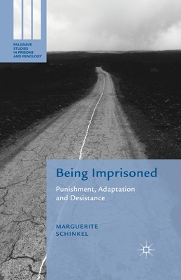 Being Imprisoned: Punishment, Adaptation and Desistance - Schinkel, M