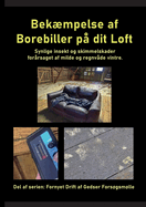 Bekmpelse af Borebiller p dit Loft: Synlige insekt og skimmelskader forrsaget af milde og regnvde vintre.