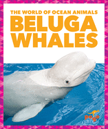 Beluga Whales