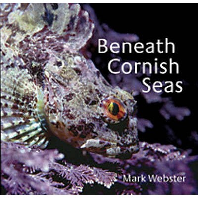 Beneath Cornish Seas - Webster, Mark