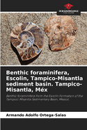 Benthic foraminifera, Escolin, Tampico-Misantla sediment basin. Tampico-Misantla, Mx