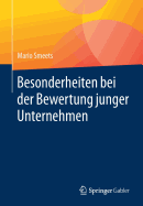 Besonderheiten Bei Der Bewertung Junger Unternehmen