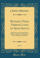 Bethada Naem Nerenn Lives of Irish Saints, Vol. 2: Edited from the Original Mss, with Introduction, Translations, Notes, Glossary and Indexes (Classic Reprint)