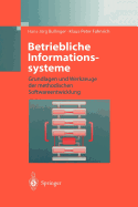 Betriebliche Informationssysteme: Grundlagen Und Werkzeuge Der Methodischen Softwareentwicklung