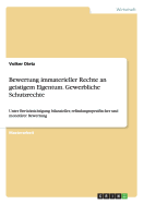 Bewertung immaterieller Rechte an geistigem Eigentum. Gewerbliche Schutzrechte: Unter Ber?cksichtigung bilanzieller, erfindungsspezifischer und monet?rer Bewertung