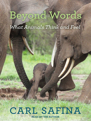 Beyond Words: What Animals Think and Feel - Safina, Carl (Narrator)