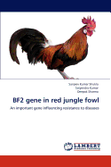 Bf2 Gene in Red Jungle Fowl