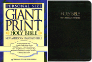 Bible: New American Standard Bible - Nelsonword Publishing Group (Creator)