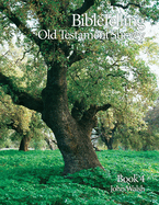BibleTelling Old Testament Survey: Book 4