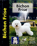 Bichon Frise