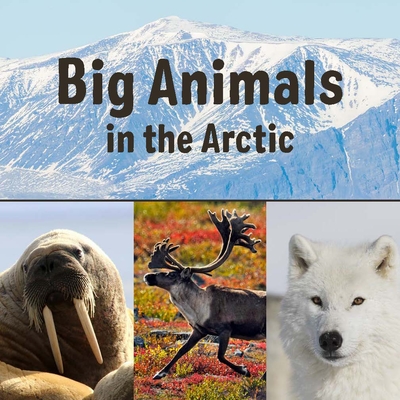 Big Animals in the Arctic: English Edition - Arvaaq Press