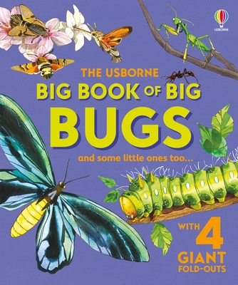 Big Book of Big Bugs - Bone, Emily