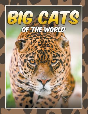 Big Cats of the World - Koontz, Marshall