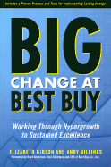Big Change at Best Buy: Working Through Hypergrowth to Sustained Excellence