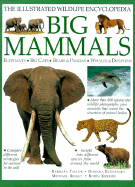 Big Mammals: Elephants, Big Cats, Bears & Pandas, Whales & Dolphins
