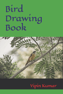 Bird Drawing Book