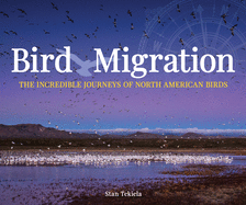 Bird Migration: The Incredible Journeys of North American Birds