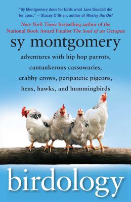 Birdology: Adventures with Hip Hop Parrots, Cantankerous Cassowaries, Crabby Crows, Peripatetic Pigeons, Hens, Hawks, and Hummingbirds - Montgomery, Sy