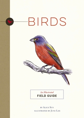 Birds: An Illustrated Field Guide - Sun, Alice