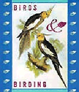 Birds and Birding