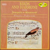 Birds and Harmony - Ensemble Terpsichore; Marianne Amrein (percussion)