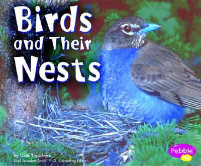 Birds and Their Nests - Tagliaferro, Linda